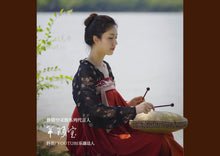 Load image into Gallery viewer, Healing Zen | Chinese Tongue Drum | Titanium steel | 13 inches