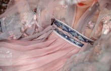 Load image into Gallery viewer, Hanfu-Praise the God of Flowers dress