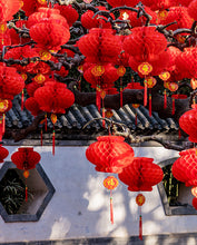 Load image into Gallery viewer, Chinese waterproof lantern